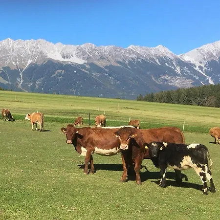 Апартаменты Lexhof Инсбрук