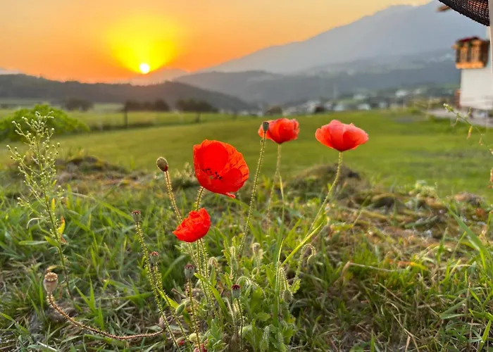 Lexhof Appartement *