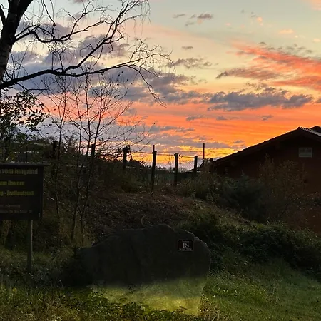 Apartament Lexhof Innsbruck